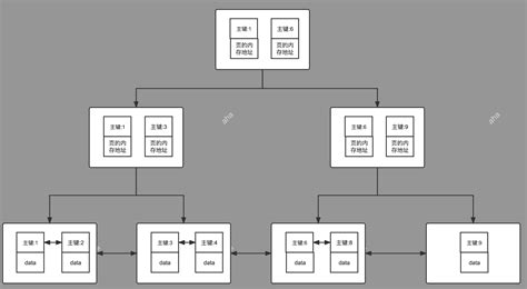 索引值|MySQL索引详解（一文搞懂）